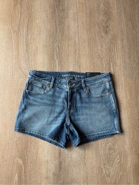 American Eagle Outfitters Light Blue Denim Cutoff Shorts